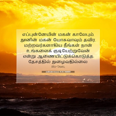 Picture 07 - எண்ணாகமம் 14:30 TAMIRV - எப்புன்னேயின் - Bible Verse Picture