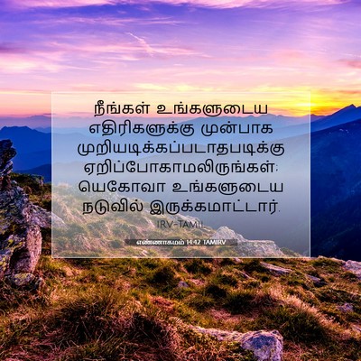 Picture 07 - எண்ணாகமம் 14:42 TAMIRV - நீங்கள் உங்களுடைய - Bible Verse Picture
