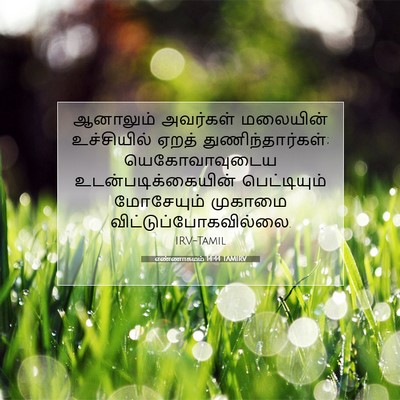 Picture 07 - எண்ணாகமம் 14:44 TAMIRV - ஆனாலும் அவர்கள் - Bible Verse Picture