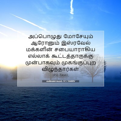 Picture 07 - எண்ணாகமம் 14:5 TAMIRV - அப்பொழுது - Bible Verse Picture