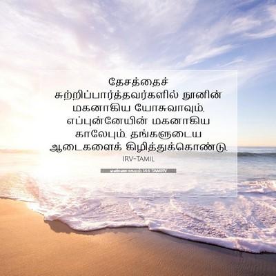 Picture 07 - எண்ணாகமம் 14:6 TAMIRV - தேசத்தைச் - Bible Verse Picture