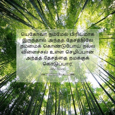 Picture 07 - எண்ணாகமம் 14:8 TAMIRV - யெகோவா நம்மேல் - Bible Verse Picture