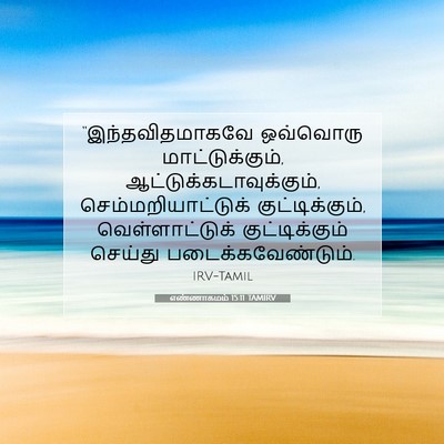 Picture 07 - எண்ணாகமம் 15:11 TAMIRV - “இந்தவிதமாகவே - Bible Verse Picture