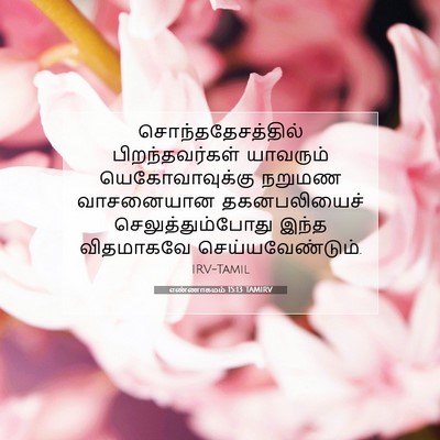 Picture 07 - எண்ணாகமம் 15:13 TAMIRV - சொந்ததேசத்தில் - Bible Verse Picture