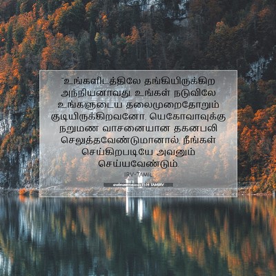 Picture 07 - எண்ணாகமம் 15:14 TAMIRV - “உங்களிடத்திலே - Bible Verse Picture