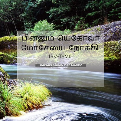 Picture 07 - எண்ணாகமம் 15:17 TAMIRV - பின்னும் யெகோவா - Bible Verse Picture