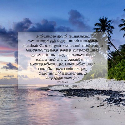 Picture 07 - எண்ணாகமம் 15:24 TAMIRV - அறியாமல் தவறி - Bible Verse Picture