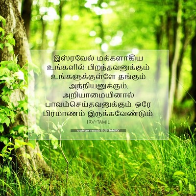 Picture 07 - எண்ணாகமம் 15:29 TAMIRV - இஸ்ரவேல் - Bible Verse Picture