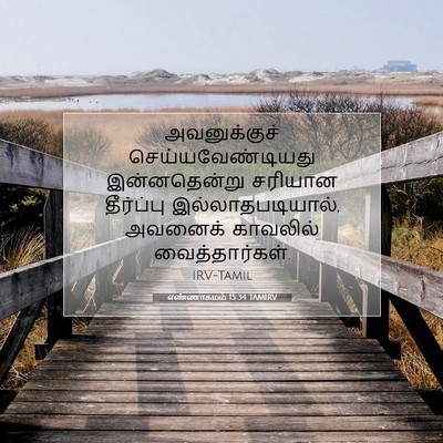 Picture 07 - எண்ணாகமம் 15:34 TAMIRV - அவனுக்குச் - Bible Verse Picture