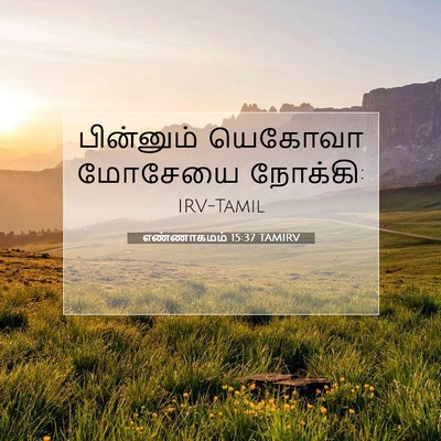 Picture 07 - எண்ணாகமம் 15:37 TAMIRV - பின்னும் யெகோவா - Bible Verse Picture