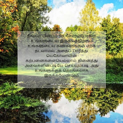 Picture 07 - எண்ணாகமம் 15:39 TAMIRV - நீங்கள் - Bible Verse Picture