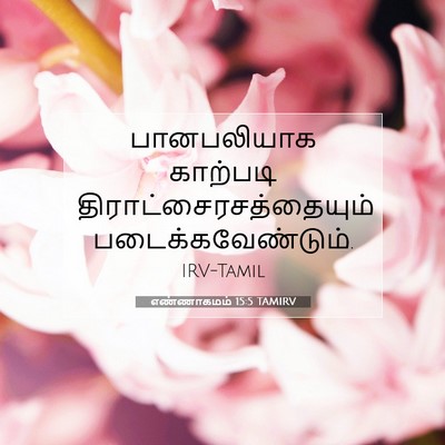 Picture 07 - எண்ணாகமம் 15:5 TAMIRV - பானபலியாக காற்படி - Bible Verse Picture