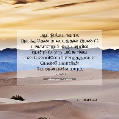 Picture 07 - எண்ணாகமம் 15:6 TAMIRV - ஆட்டுக்கடாவாக - Bible Verse Picture