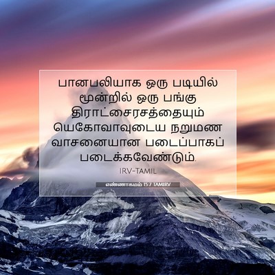 Picture 07 - எண்ணாகமம் 15:7 TAMIRV - பானபலியாக ஒரு - Bible Verse Picture