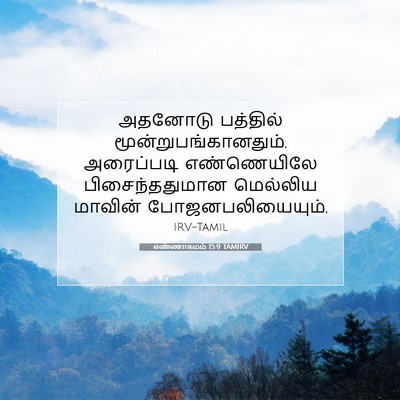 Picture 07 - எண்ணாகமம் 15:9 TAMIRV - அதனோடு பத்தில் - Bible Verse Picture