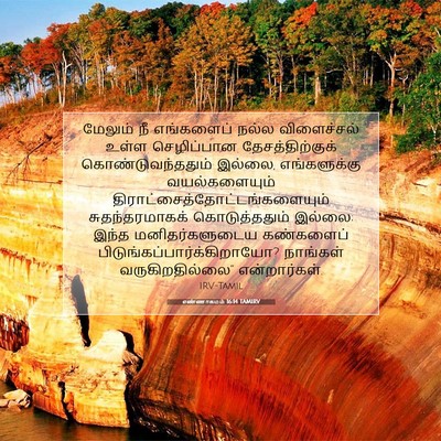 Picture 07 - எண்ணாகமம் 16:14 TAMIRV - மேலும் நீ - Bible Verse Picture