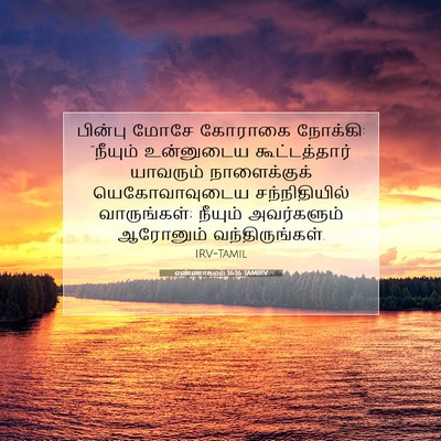 Picture 07 - எண்ணாகமம் 16:16 TAMIRV - பின்பு மோசே - Bible Verse Picture