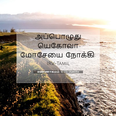 Picture 07 - எண்ணாகமம் 16:23 TAMIRV - அப்பொழுது யெகோவா - Bible Verse Picture