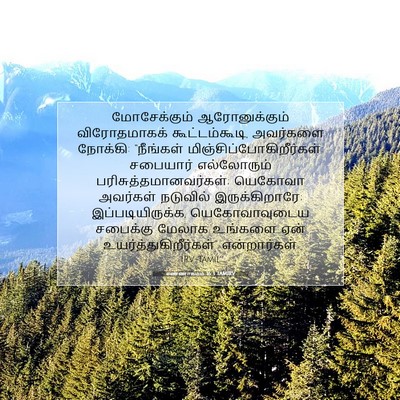Picture 07 - எண்ணாகமம் 16:3 TAMIRV - மோசேக்கும் - Bible Verse Picture
