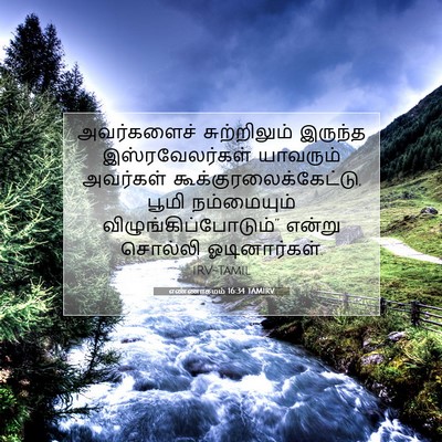 Picture 07 - எண்ணாகமம் 16:34 TAMIRV - அவர்களைச் - Bible Verse Picture