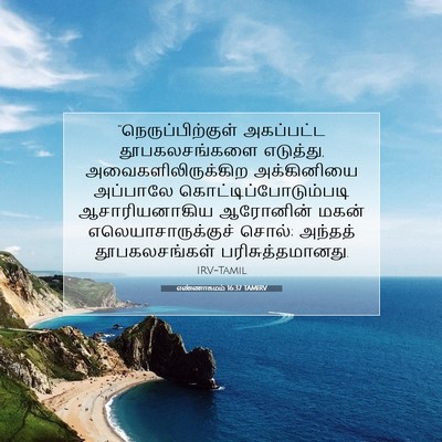Picture 07 - எண்ணாகமம் 16:37 TAMIRV - “நெருப்பிற்குள் - Bible Verse Picture