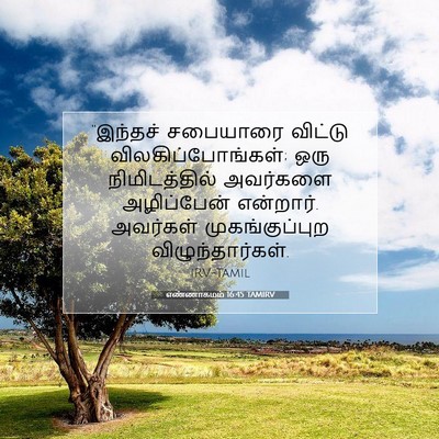 Picture 07 - எண்ணாகமம் 16:45 TAMIRV - “இந்தச் சபையாரை - Bible Verse Picture