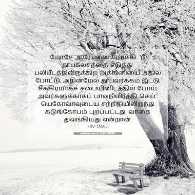 Picture 07 - எண்ணாகமம் 16:46 TAMIRV - மோசே ஆரோனை நோக்கி: - Bible Verse Picture