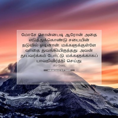 Picture 07 - எண்ணாகமம் 16:47 TAMIRV - மோசே சொன்னபடி - Bible Verse Picture