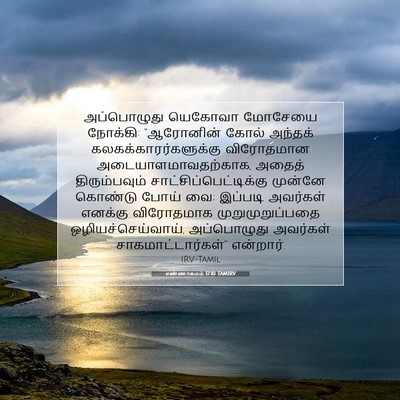 Picture 07 - எண்ணாகமம் 17:10 TAMIRV - அப்பொழுது யெகோவா - Bible Verse Picture