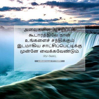 Picture 07 - எண்ணாகமம் 17:4 TAMIRV - அவைகளை ஆசரிப்புக் - Bible Verse Picture