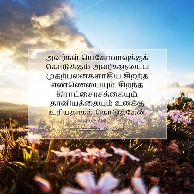 Picture 07 - எண்ணாகமம் 18:12 TAMIRV - அவர்கள் - Bible Verse Picture