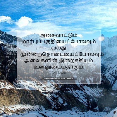 Picture 07 - எண்ணாகமம் 18:18 TAMIRV - அசைவாட்டும் - Bible Verse Picture