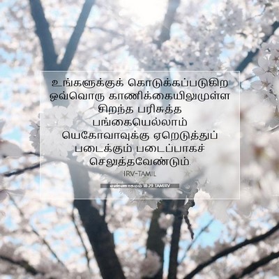Picture 07 - எண்ணாகமம் 18:29 TAMIRV - உங்களுக்குக் - Bible Verse Picture