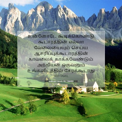 Picture 07 - எண்ணாகமம் 18:4 TAMIRV - உன்னோடே - Bible Verse Picture