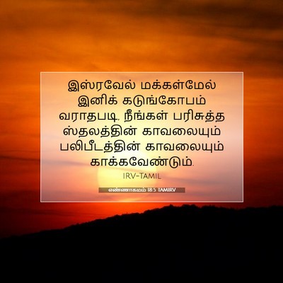 Picture 07 - எண்ணாகமம் 18:5 TAMIRV - இஸ்ரவேல் - Bible Verse Picture