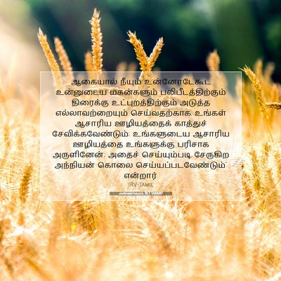 Picture 07 - எண்ணாகமம் 18:7 TAMIRV - ஆகையால் நீயும் - Bible Verse Picture