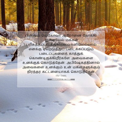 Picture 07 - எண்ணாகமம் 18:8 TAMIRV - பின்னும் யெகோவா - Bible Verse Picture