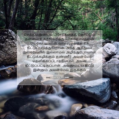 Picture 07 - எண்ணாகமம் 19:13 TAMIRV - செத்தவனுடைய - Bible Verse Picture