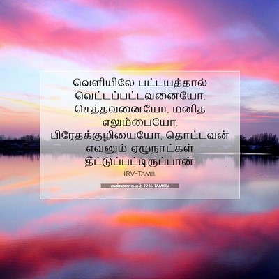 Picture 07 - எண்ணாகமம் 19:16 TAMIRV - வெளியிலே - Bible Verse Picture