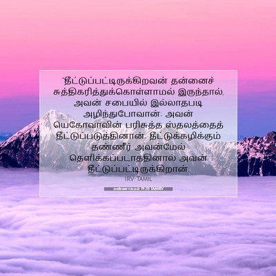 Picture 07 - எண்ணாகமம் 19:20 TAMIRV -  - Bible Verse Picture