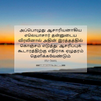 Picture 07 - எண்ணாகமம் 19:4 TAMIRV - அப்பொழுது - Bible Verse Picture