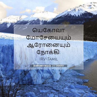 Picture 07 - எண்ணாகமம் 2:1 TAMIRV - யெகோவா மோசேயையும் - Bible Verse Picture