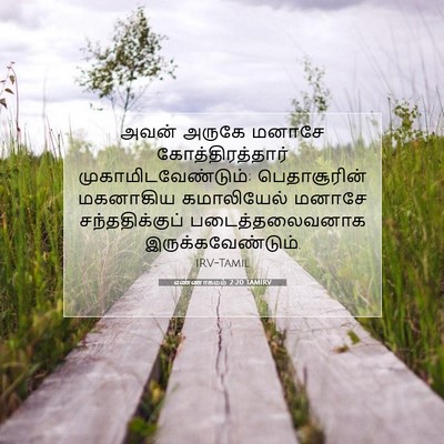 Picture 07 - எண்ணாகமம் 2:20 TAMIRV - அவன் அருகே மனாசே - Bible Verse Picture