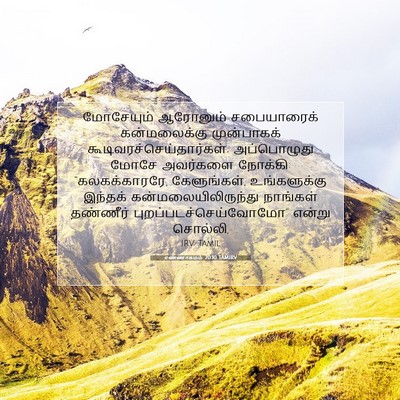 Picture 07 - எண்ணாகமம் 20:10 TAMIRV - மோசேயும் ஆரோனும் - Bible Verse Picture