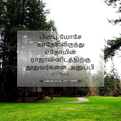 Picture 07 - எண்ணாகமம் 20:14 TAMIRV - பின்பு மோசே - Bible Verse Picture