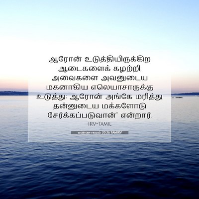 Picture 07 - எண்ணாகமம் 20:26 TAMIRV - ஆரோன் - Bible Verse Picture
