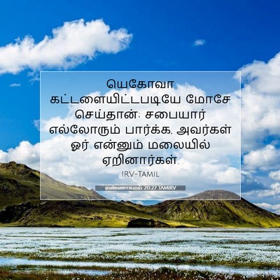 Picture 07 - எண்ணாகமம் 20:27 TAMIRV - யெகோவா - Bible Verse Picture