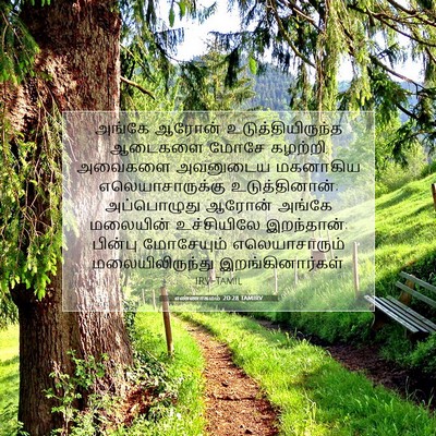 Picture 07 - எண்ணாகமம் 20:28 TAMIRV - அங்கே ஆரோன் - Bible Verse Picture
