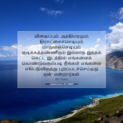Picture 07 - எண்ணாகமம் 20:5 TAMIRV - விதைப்பும், - Bible Verse Picture