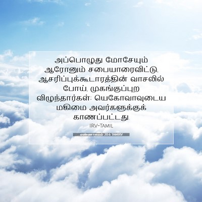Picture 07 - எண்ணாகமம் 20:6 TAMIRV - அப்பொழுது - Bible Verse Picture